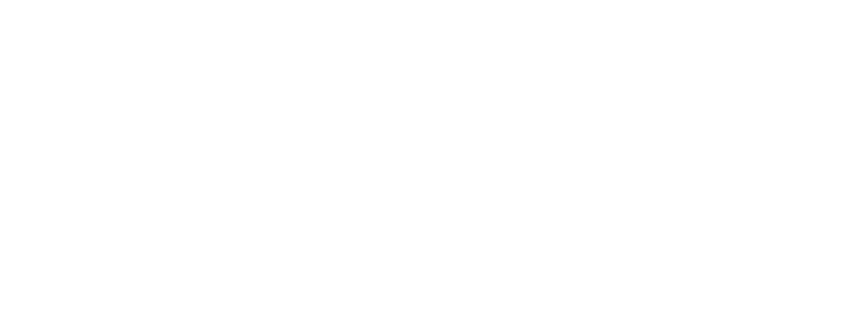 R.A.W INTERNATIONAL SERVICES